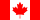 toronto-ca-flag.png